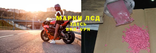 крисы Бородино
