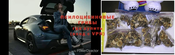 винт Богородицк