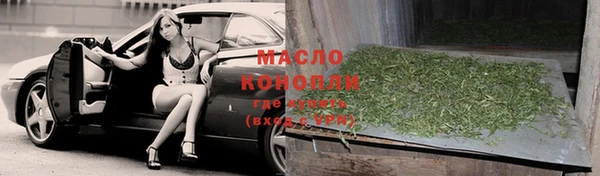 крисы Бородино