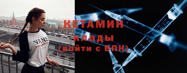 крисы Бородино