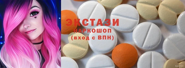 крисы Бородино