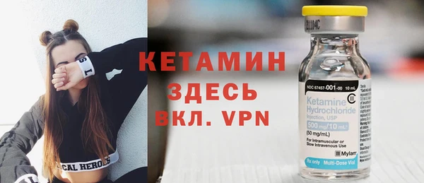 крисы Бородино
