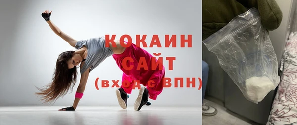 крисы Бородино