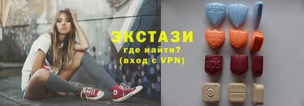 крисы Бородино