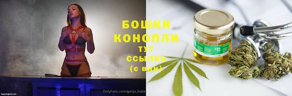 spice Богданович