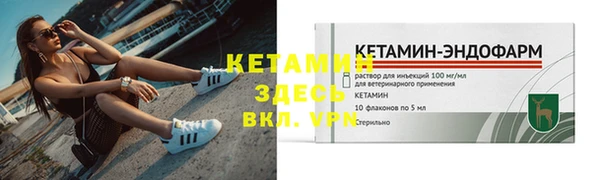 крисы Бородино