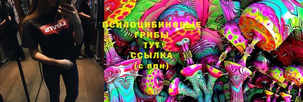 а пвп мука Бугульма