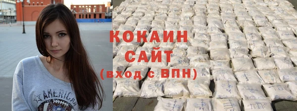 крисы Бородино