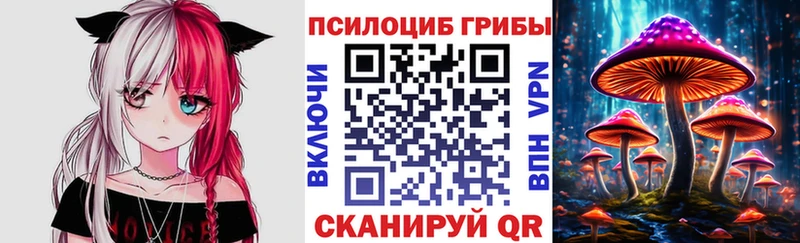 Псилоцибиновые грибы Cubensis  купить наркотик  даркнет как зайти  Коряжма 